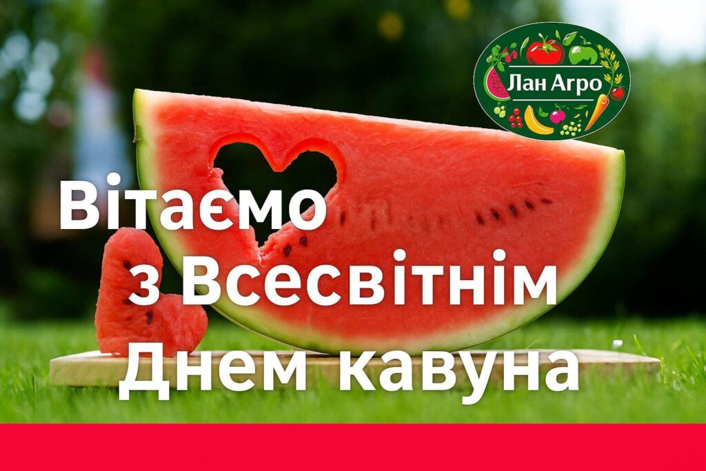 Вітаємо з Всесвітнім Днем кавуна! 🍉 Сьогодні, 3 серпня, ми святкуємо Всесвітній День кавуна — смачне, освіжаюче свято, що припадає на пік літнього сезону. Цей день започатковано в США, де кавун традиційно вважається одним із символів літа. З роками святкування набуло популярності в багатьох країнах світу, зокрема й в Україні. Кавун — це баштанна культура, яка походить із південної Африки. У нашій країні кавуни почали вирощувати ще з XIX століття, а справжнім осередком кавунів в Україні традиційно вважається Херсонщина. Зараз їх вирощують також у Миколаївській, Запорізькій, Одеській та інших областях. Кавун не лише смачний, а й дуже корисний. Він містить понад 90% води, багатий на вітаміни A, C, групи B, магній, калій, а також природні антиоксиданти — лікопін та цитрулін. Завдяки своїм властивостям кавун допомагає очищати організм, підтримує серцево-судинну систему та сприяє зволоженню у спекотні дні.